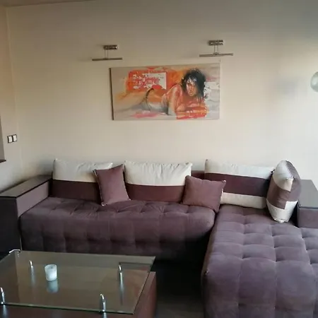 Тристаен Апартамент В Центъра На София Apartamento